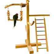 تصویر درختچه ی بازی پرنده 