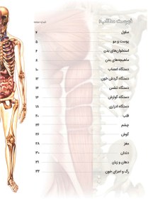 تصویر کتاب شناخت بدن انسان برای نوجوانان 