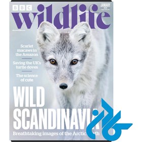 تصویر مجله انگلیسی BBC Wildlife 