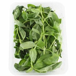 تصویر ریحان ایتالیایی شسته شده 100گرم 