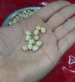 تصویر نخود دوخان محلی chickpea