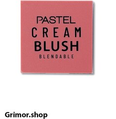 تصویر رژ گونه اورجینال برند Pastel کد 41 