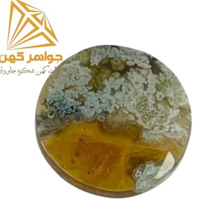 تصویر نگین شجر پاییزی کد(۶۹) 