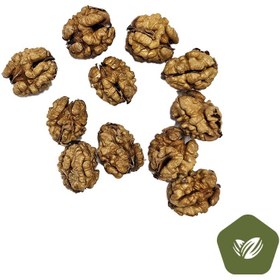 تصویر مغز گردو غنچه 