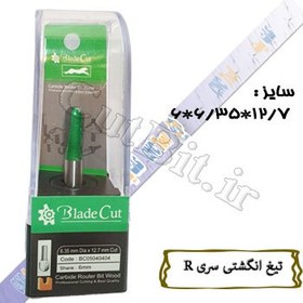 تصویر تیغ انگشتی (سریR) (cnc) قطر 12.7 کارگیر 6.35 شفت 6 R (گردی لبه) 3.17 Proucut 