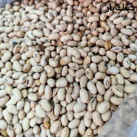 تصویر سویا آجیلی 