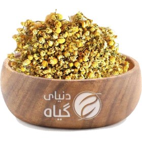 تصویر بابونه 