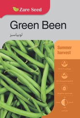 تصویر بذر لوبیا سبز 