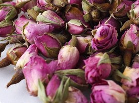 تصویر گل محمدی بهبود زخم آبله