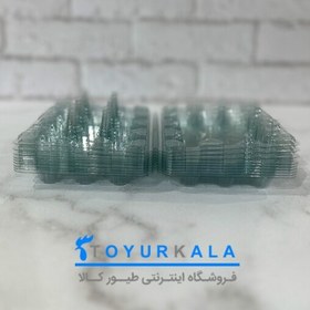 تصویر پک 400 تایی بسته بندی تخم بلدرچین 