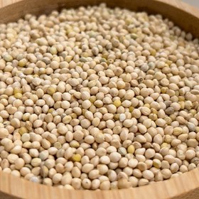 تصویر ارزن خارجی 