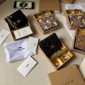 تصویر گیفت ست کیف مینی کوچ (Coach) 