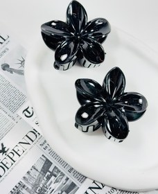 تصویر کلیپس پلومریا - سفید 