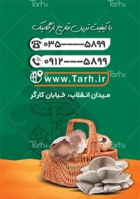 تصویر دانلود کارت ویزیت لایه باز پرورش قارچ با عکس سبد قارچ 