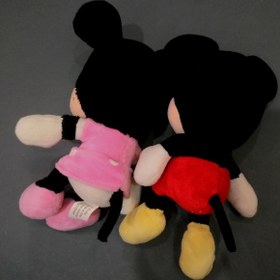 تصویر میکی موس و مینی موس 