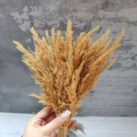 تصویر گل خشک قمیش (دسته حجمی) رنگ طبیعی