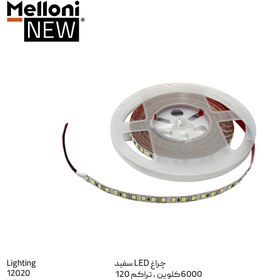 تصویر چـراغ دفنی ژلاتینی ملونی کد 12030 