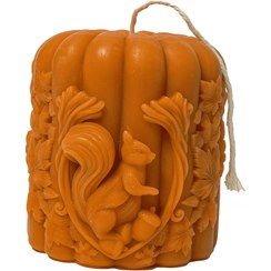 تصویر استوانه پاییزی سنجاب 