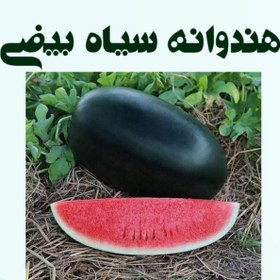 تصویر هندوانه سیاه بیضی F1 