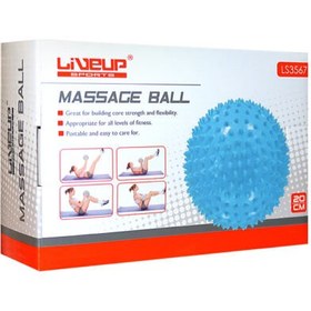 تصویر توپ ماساژ بادی Massage Ball 