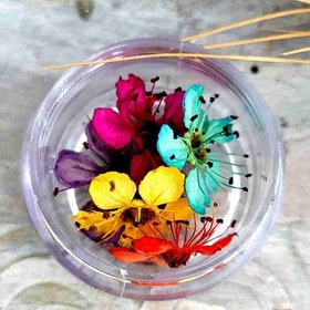 تصویر گل خشک شکوفه پرس نشده 