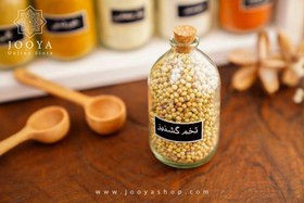 تصویر تخم گشنیز 