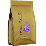 تصویر خاک بنفشه آفریقایی 