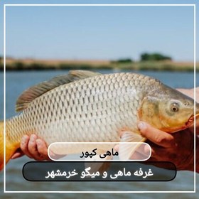 تصویر ماهی کپور سایز بزرگ تازه و صید روز (پک دو کیلویی)بسیار خوشمزه و لذیذ مناسب برای سرخ و کباب کردن 