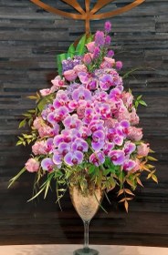 تصویر جام گل ارکیده رز هلندی 