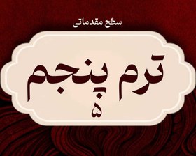 تصویر آموزش غیرحضوری ویولن سطح مقدماتی – ترم پنجم 