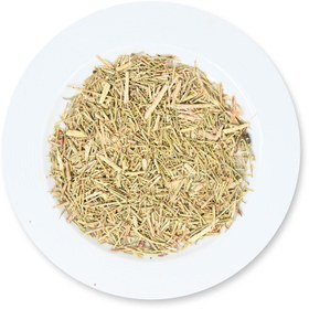 تصویر خارشتر 