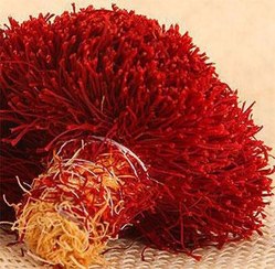 تصویر زعفران دسته دختر پیچ قائنات 