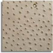 تصویر چرم شتر مرغ OS006 