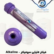 تصویر فیلتر قلیایی تصفیه آب سوفیلتر مدل (ALKALINE) - 233 