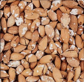 تصویر بادام منقا 