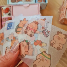 تصویر پک چسب واشی و استیکر 