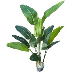 تصویر نخل نیکولای مصنوعی 