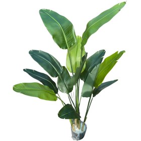 تصویر نخل نیکولای مصنوعی 