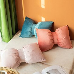 تصویر کوسن پاپیون مخمل 