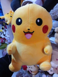 تصویر فروشگاه لوازم خانگی پکو کرمان