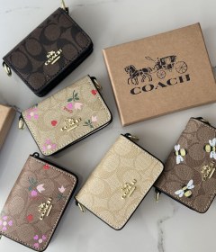 تصویر مینی بگ کوچ 