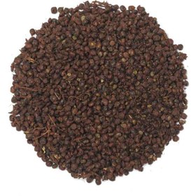 تصویر گیاه دارویی هسته سماق Rhus coriaria 