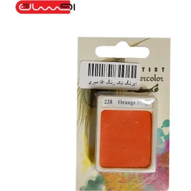 تصویر آبرنگ تک رنگ آقا میری 