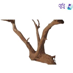 تصویر ریشه آبنوس وزن 1100 تا 1200 گرم 