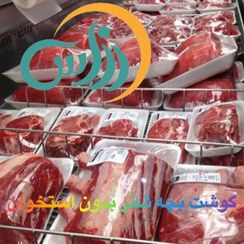 تصویر گوشت بدون استخوان بچه شتر (5 کیلو همراه با یخدان) (پس کرایه) 