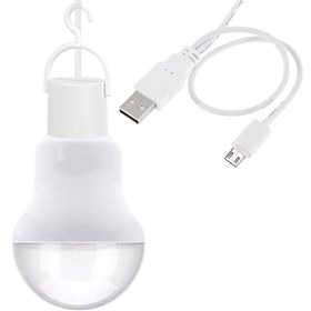 تصویر لامپ ال ای دی USB- microUSB مدل Two In One - 