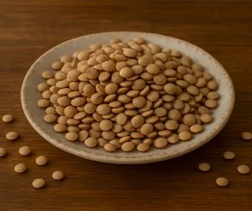 تصویر عدس یک کیلویی م پ 