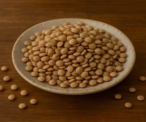 تصویر فروشگاه م پ فود