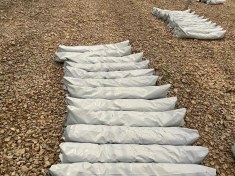 تصویر گروبگ یا کیسه کشت 