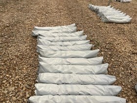 تصویر گروبگ یا کیسه کشت 